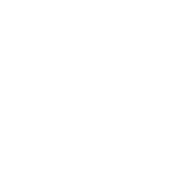 circle-white